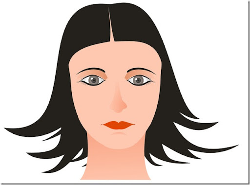 corel draw vector graphics